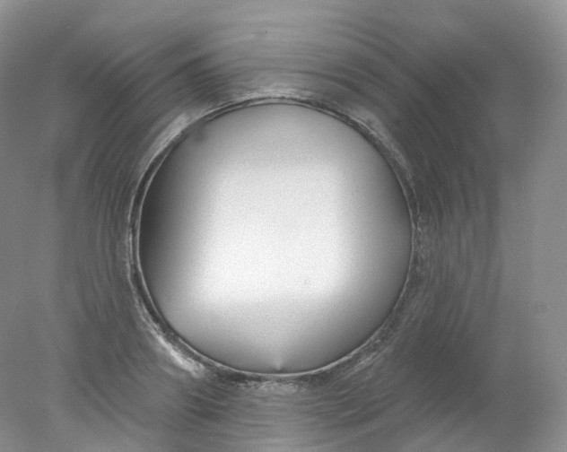 X0000078310890200611172212