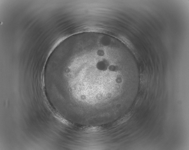 X0000078310891200611172212