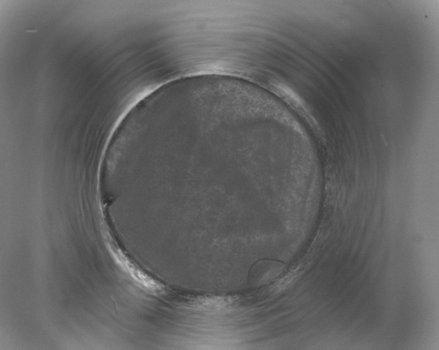 X0000078310892200611172212