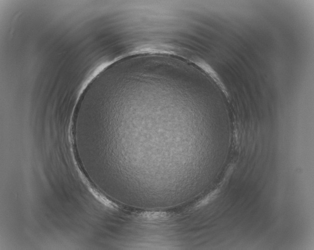 X0000078310893200611172212