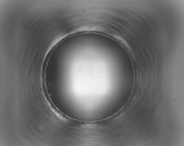 X0000078310894200611172212