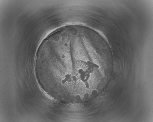 X0000078310895200611172212