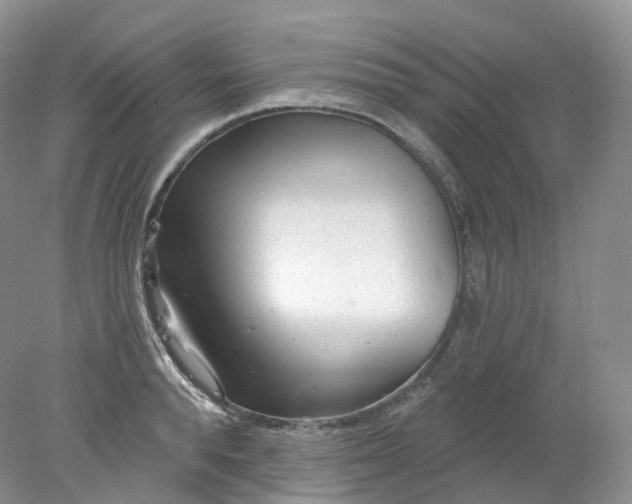 X0000078310896200611172212