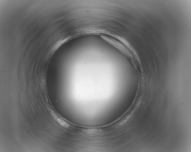 X0000078310897200611172212