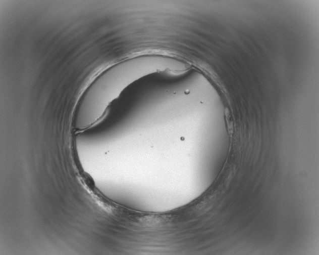 X0000078310898200611172212