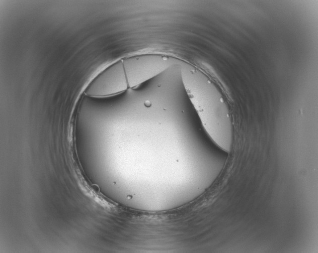 X0000078310900200611172212