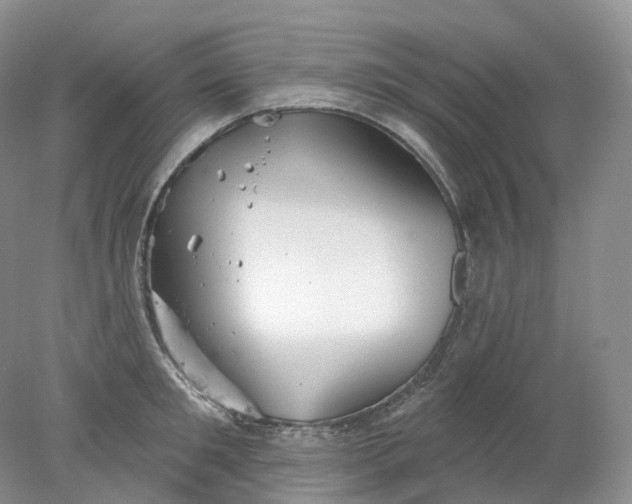 X0000078310901200611172212