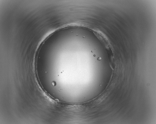 X0000078310902200611172212