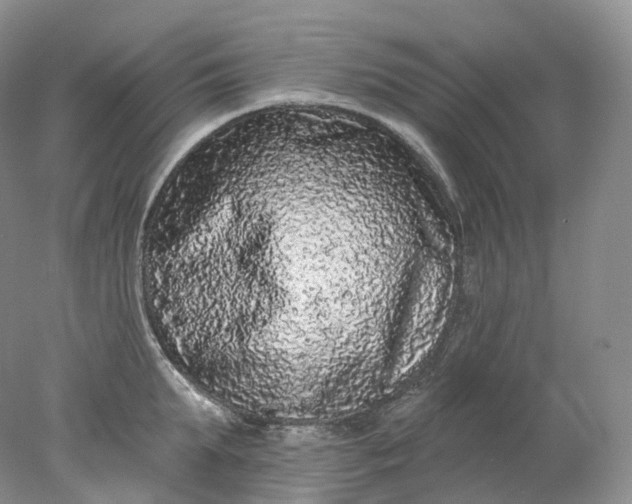 X0000078310903200611172212