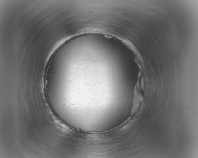 X0000078310904200611172211