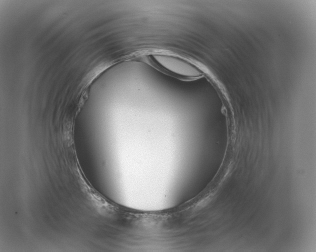 X0000078310905200611172211