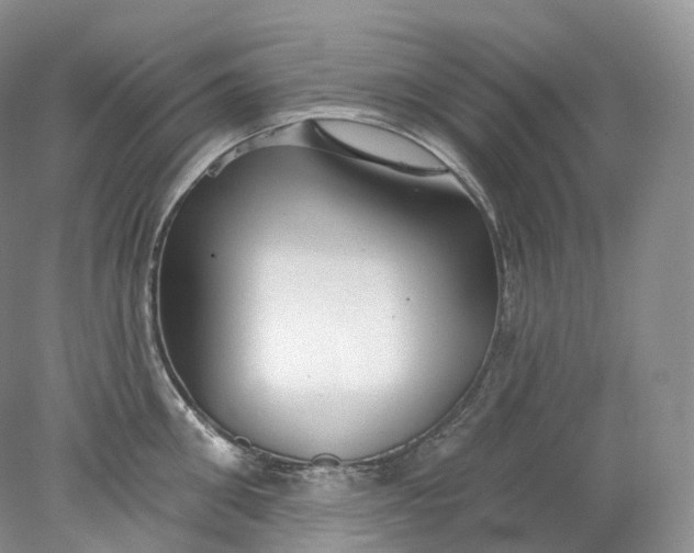 X0000078310906200611172211