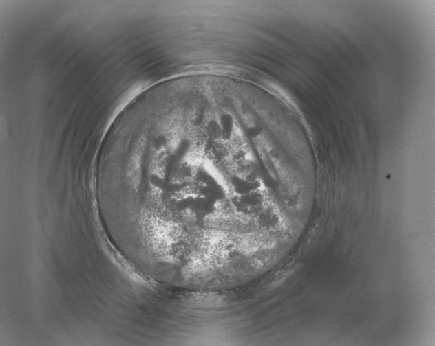 X0000078310907200611172211