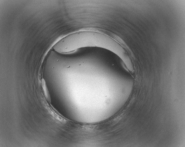 X0000078310908200611172211