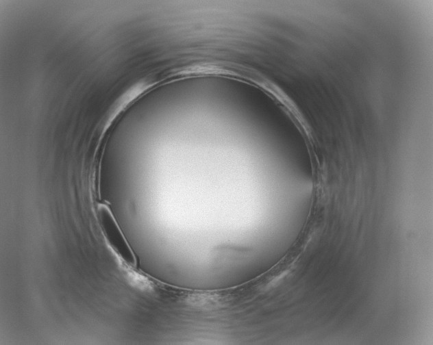 X0000078310909200611172211