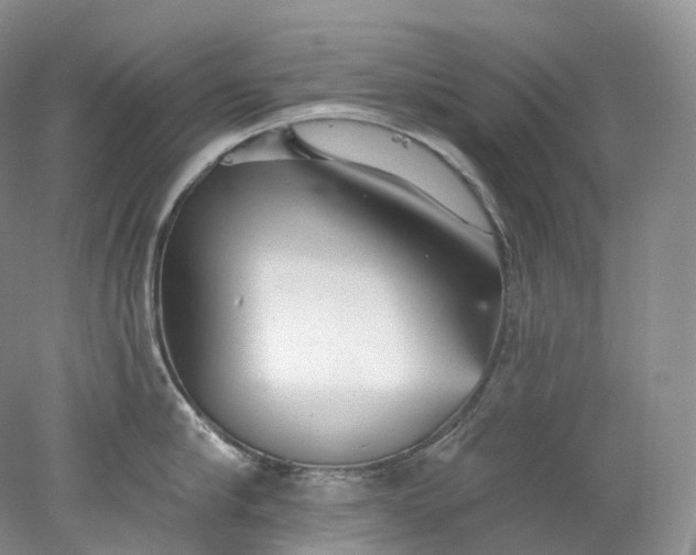 X0000078310910200611172211