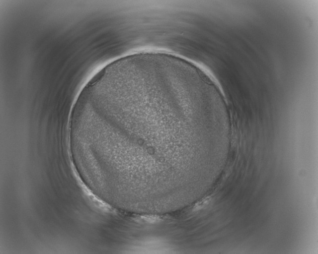 X0000078310911200611172211