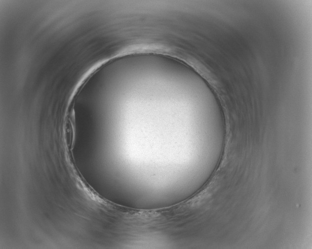 X0000078310912200611172211