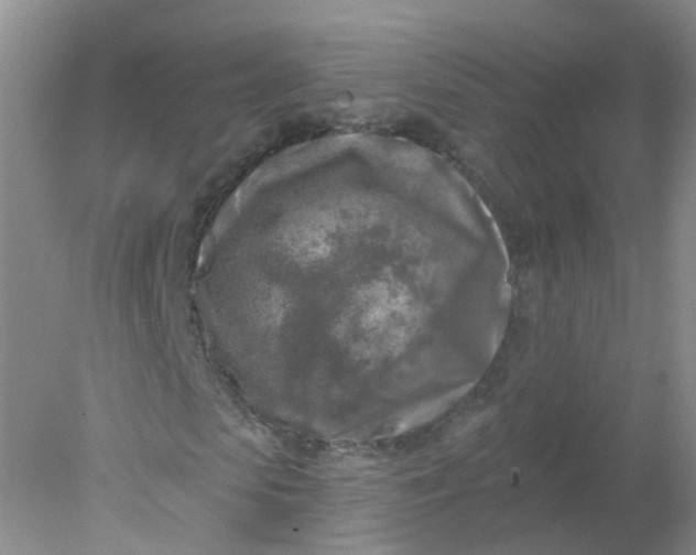 X0000078310913200611172211