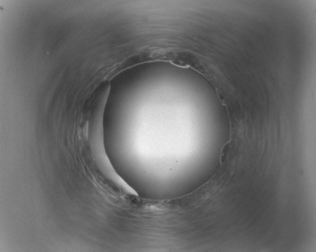 X0000078310914200611172211