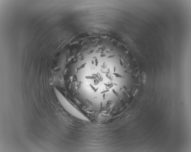 X0000078310915200611172211