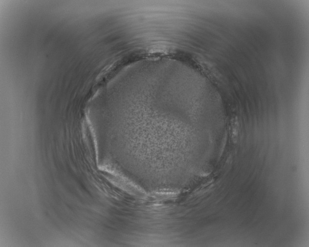 X0000078310916200611172211