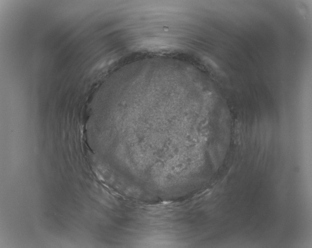 X0000078310917200611172211