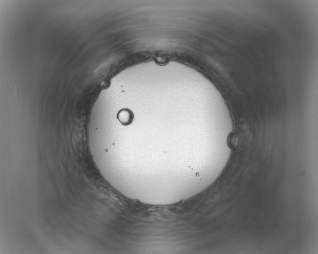 X0000078310918200611172211