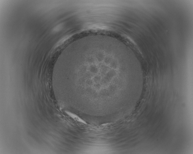 X0000078310919200611172211