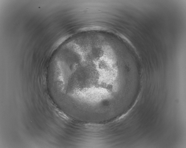 X0000078310921200611172211