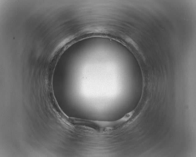 X0000078310922200611172211