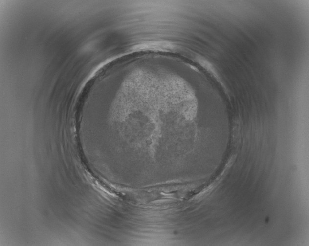 X0000078310923200611172211