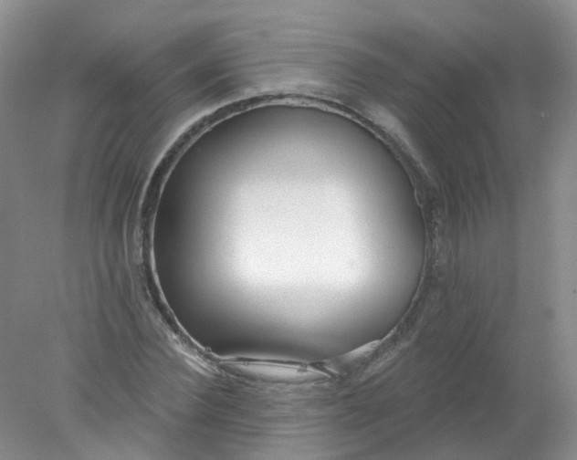 X0000078310924200611172211