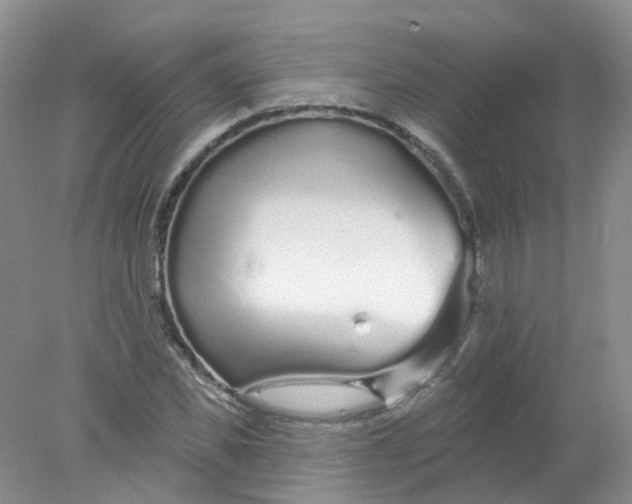 X0000078310925200611172211