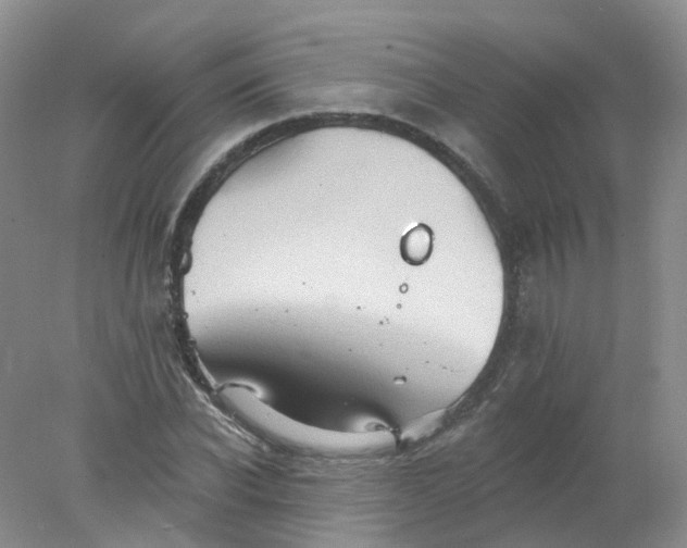 X0000078310926200611172211