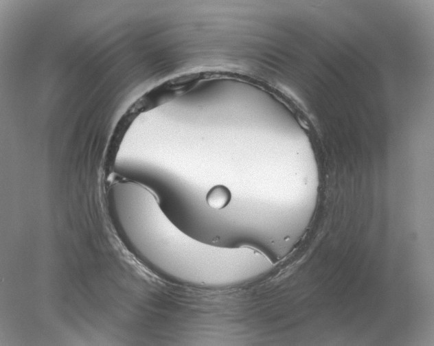 X0000078310928200611172211