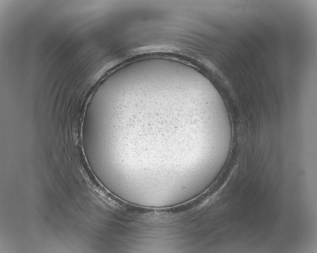 X0000078310929200611172211