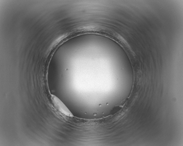 X0000078310930200611172211