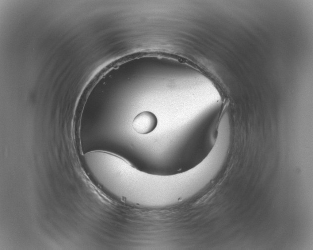 X0000078310932200611172211