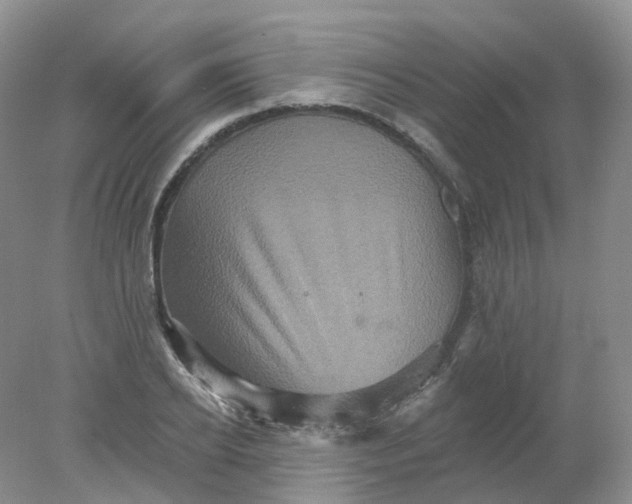 X0000078310934200611172211