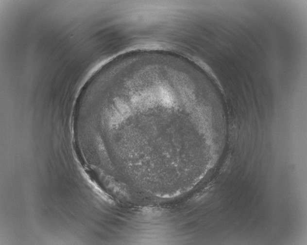 X0000078310935200611172211