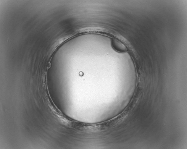 X0000078310937200611172211