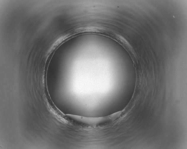 X0000078310938200611172211