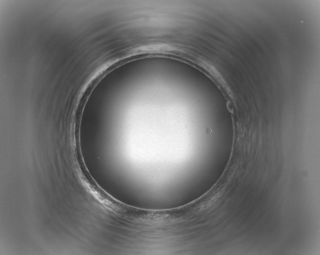 X0000078310939200611172211