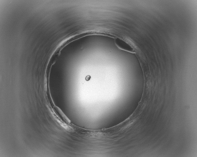 X0000078310940200611172211