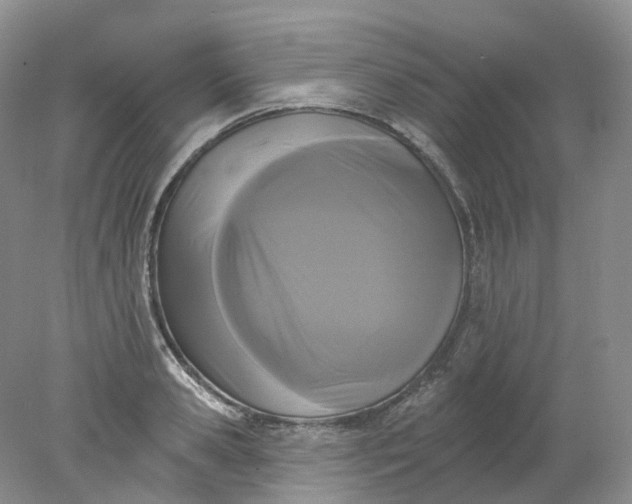 X0000078310941200611172211