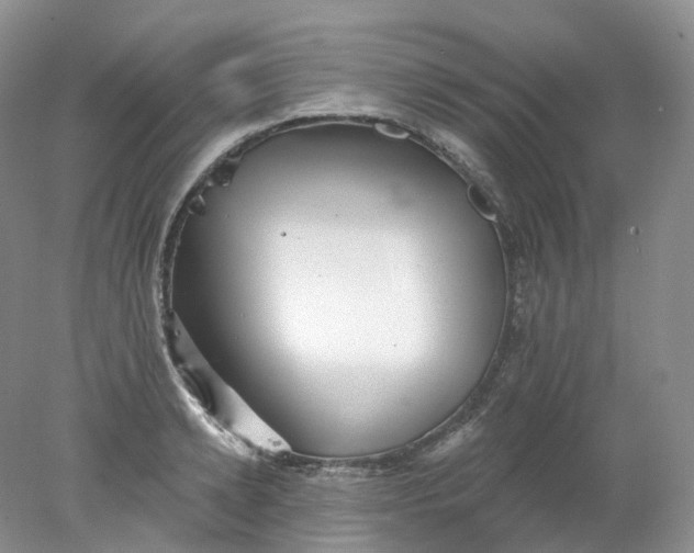 X0000078310942200611172211