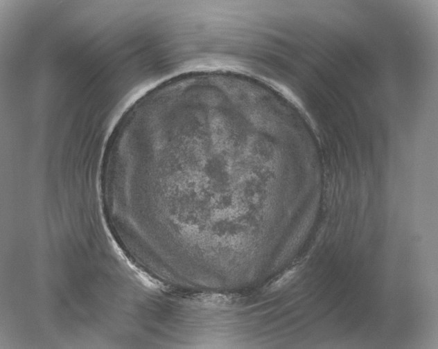 X0000078310943200611172211