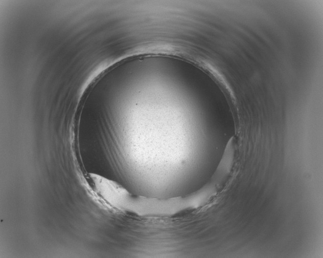 X0000078310944200611172211