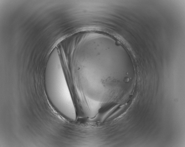 X0000078310945200611172211